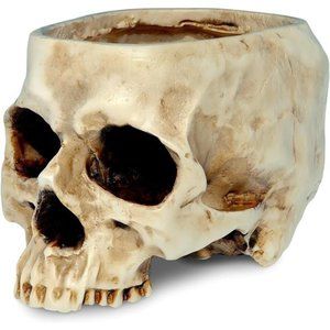 Skull Planter Candy Bowl Resin Skull Shaped Flower Pot for Home Office Indoor